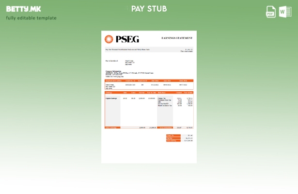 Модерен стил на САД PSEG комунални услуги шаблон за никулци за плаќање